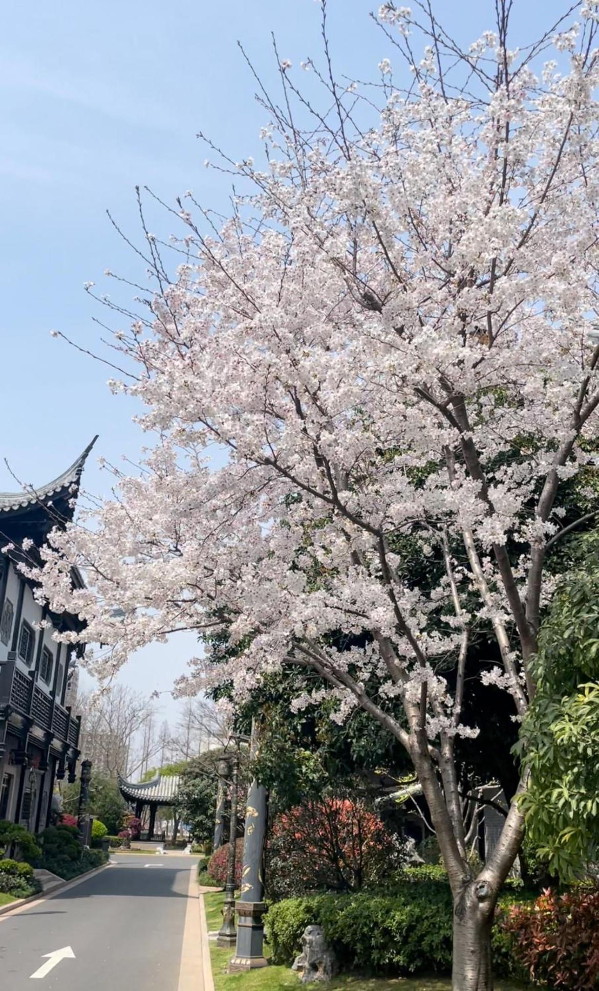 Royal Garden Hotel Shanghai-Free Shuttle To And From Disney & Pvg & Close Metro Line2 Easy To Sha New Expo Ngoại thất bức ảnh